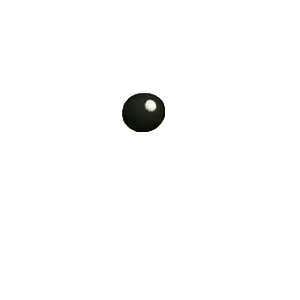 Left pupil